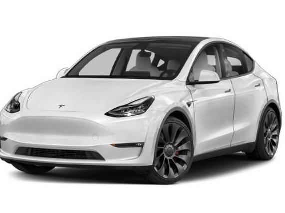 TESLA MODEL Y 2021 5YJYGDEE3MF092500 image